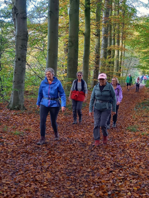 je hoort de bladeren knisperen