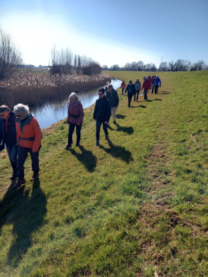 de uiterwaarden van de IJssel