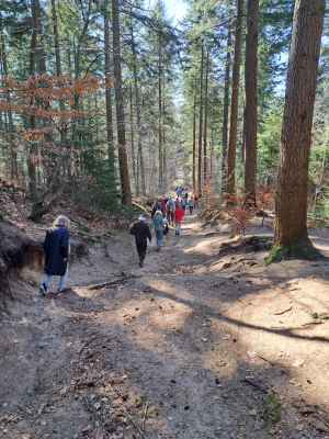 beklimming van de  Trijselenberg